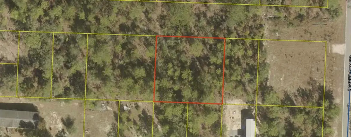 Xxxx, Defuniak Springs, FL 32433 - #1