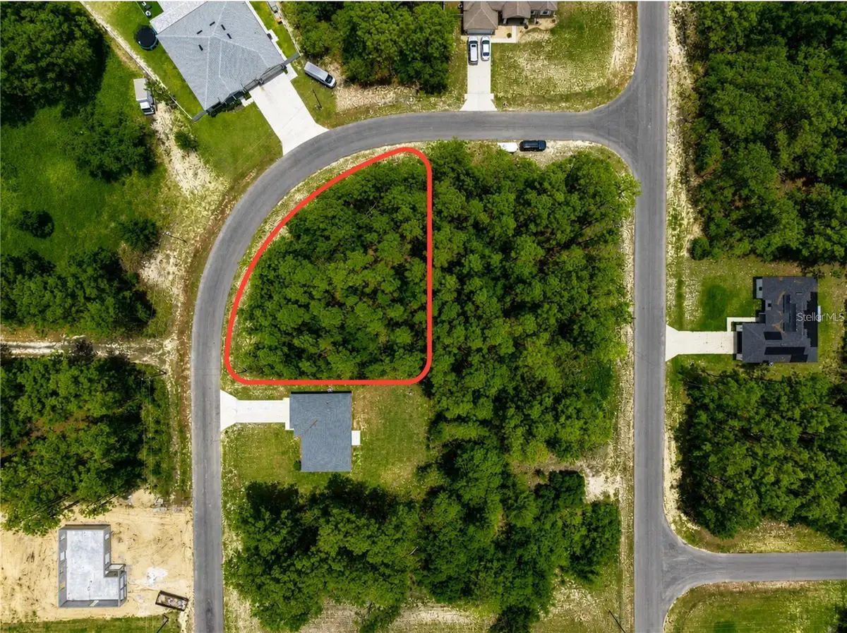 Undetermined, Ocala, FL 34473 - #1
