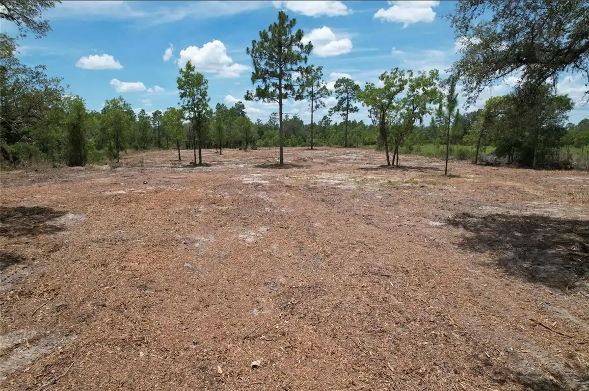 NE 56th Street, Bronson, FL 32621 - #1