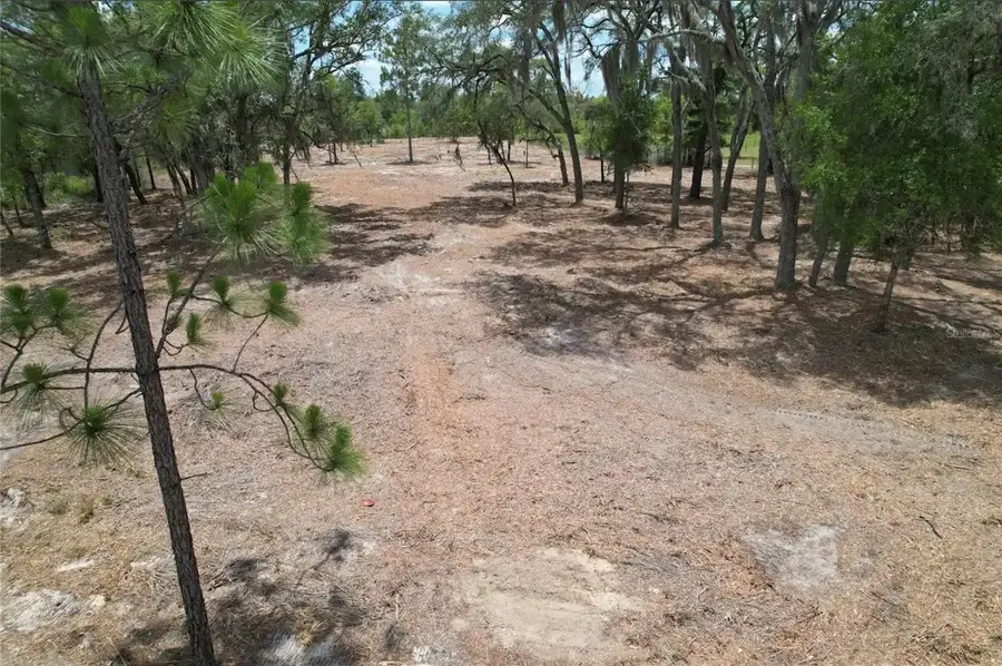 NE 56th Street, Bronson, FL 32621 - #3