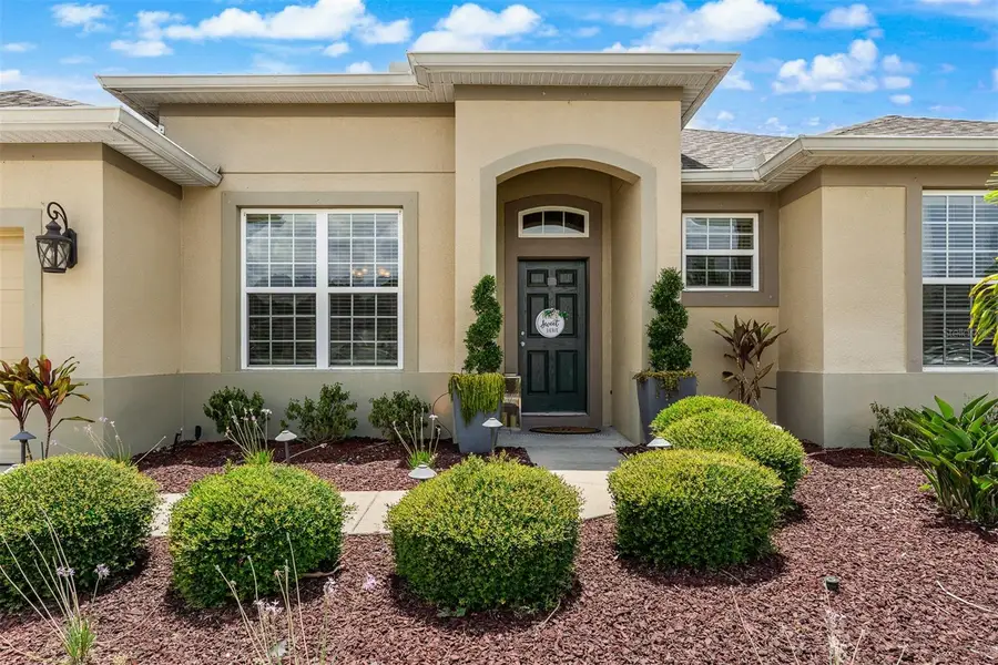 12313 Fountain Coin Way, Clermont, FL 34711 - #2