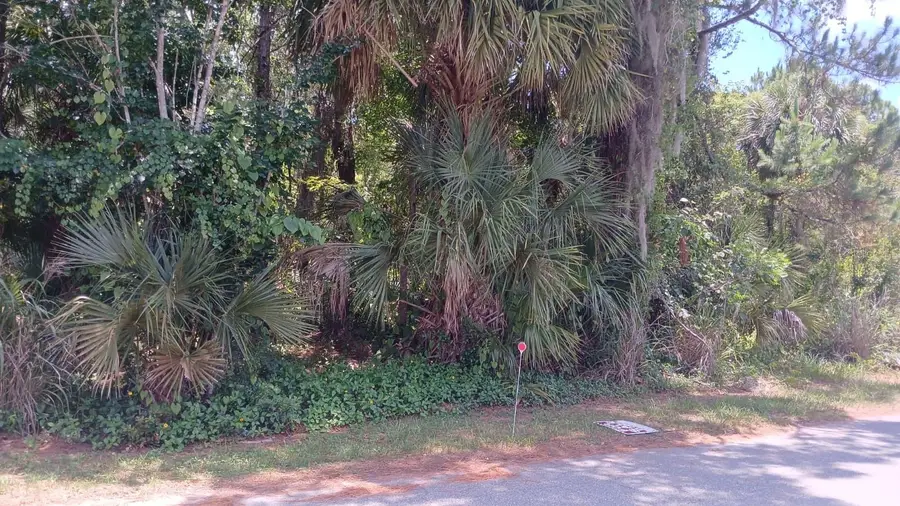 212 Hickory Avenue, Oak Hill, FL 32759 - #2