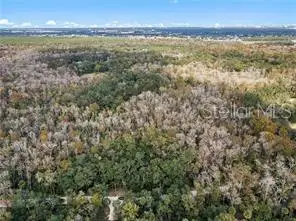 8245 Keefer Trail, Kissimmee, FL 34747 - #1
