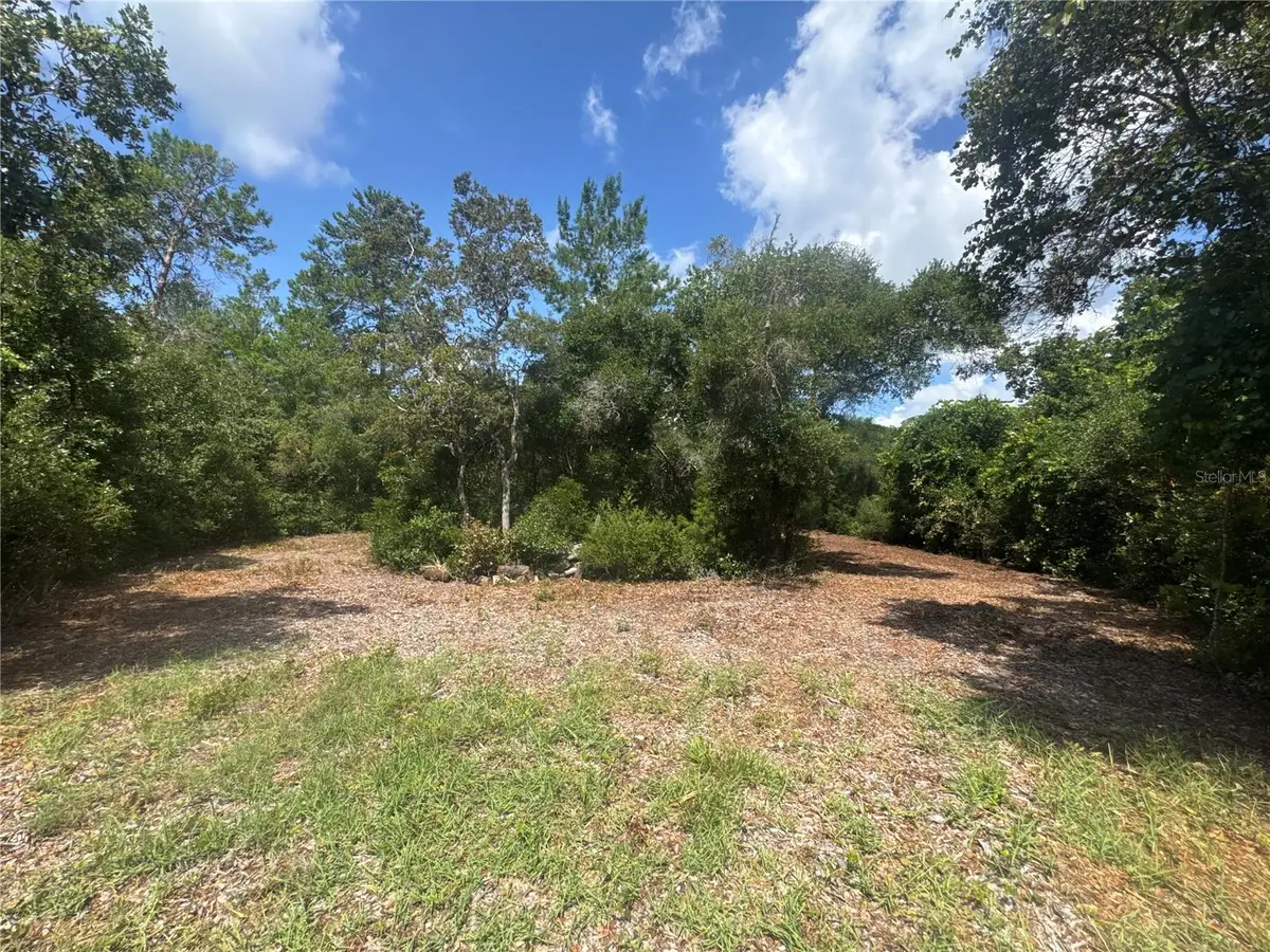 0 North Circle E, Paisley, FL 32767 - #1