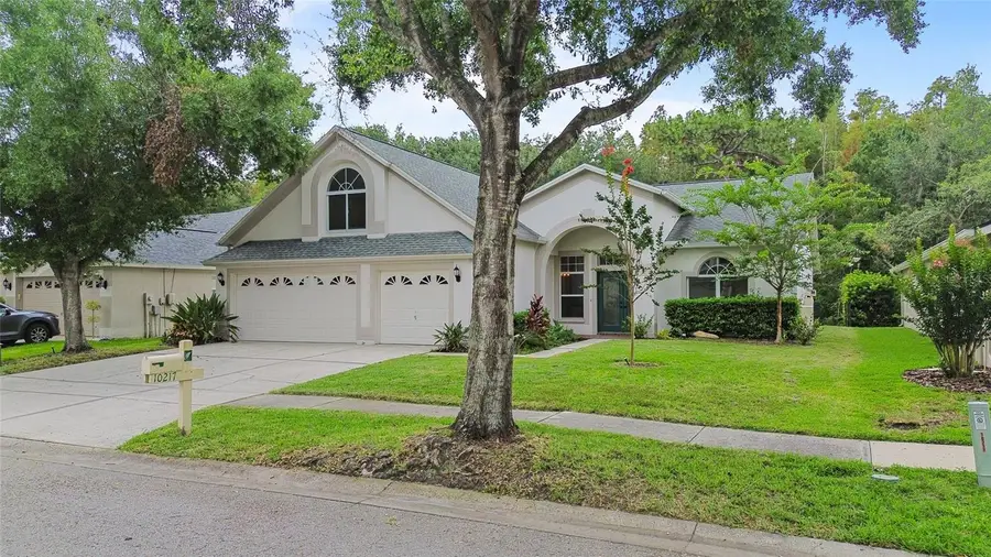 10217 Timberland Point Drive, Tampa, FL 33647 - #2