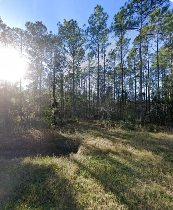 9930 Crotty Avenue, HASTINGS, FL 32145