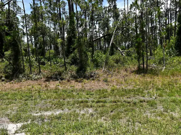 Tropicaire Boulevard, NORTH PORT, FL 34291