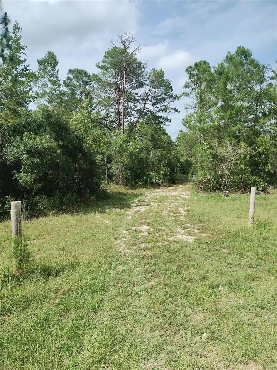 6033 W Tirana Lane, Dunnellon, FL 34433 - #1