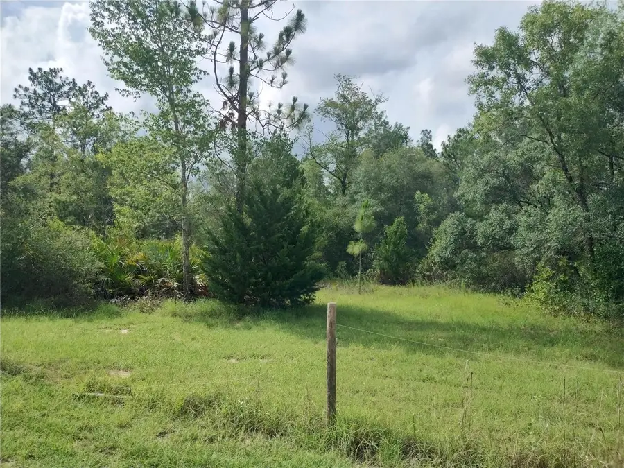 6033 W Tirana Lane, Dunnellon, FL 34433 - #2