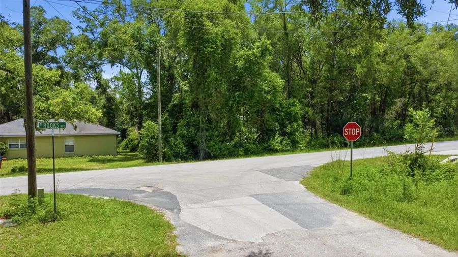 575 N Rooks Avenue, Inverness, FL 34453 - #3