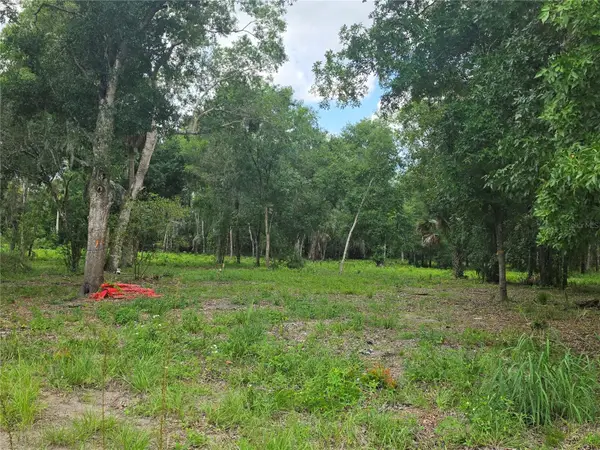 180 Oak Drive, OSTEEN, FL 32764