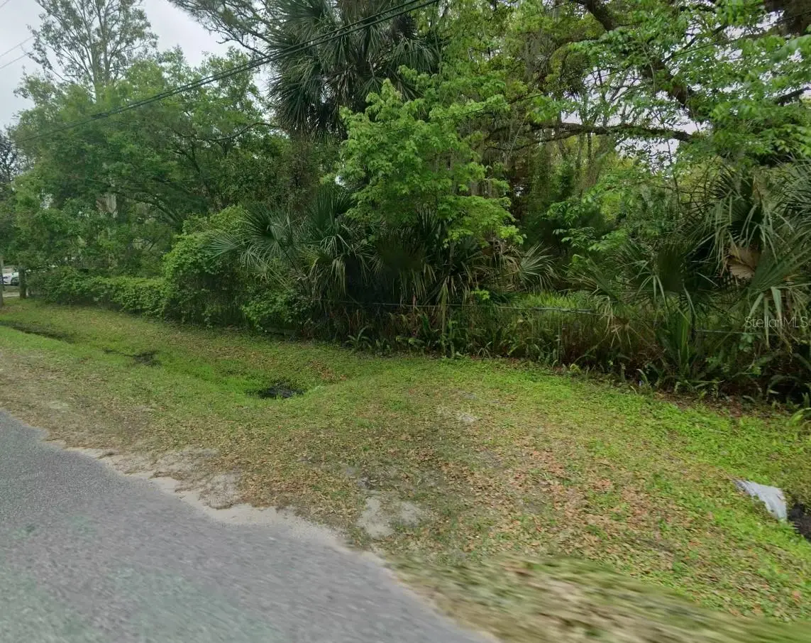 25232 Bartholomew Street, Christmas, FL 32709 - #1