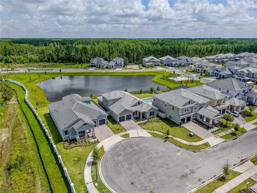 14422 Crest Palm Avenue, Windermere, FL 34786 - #2