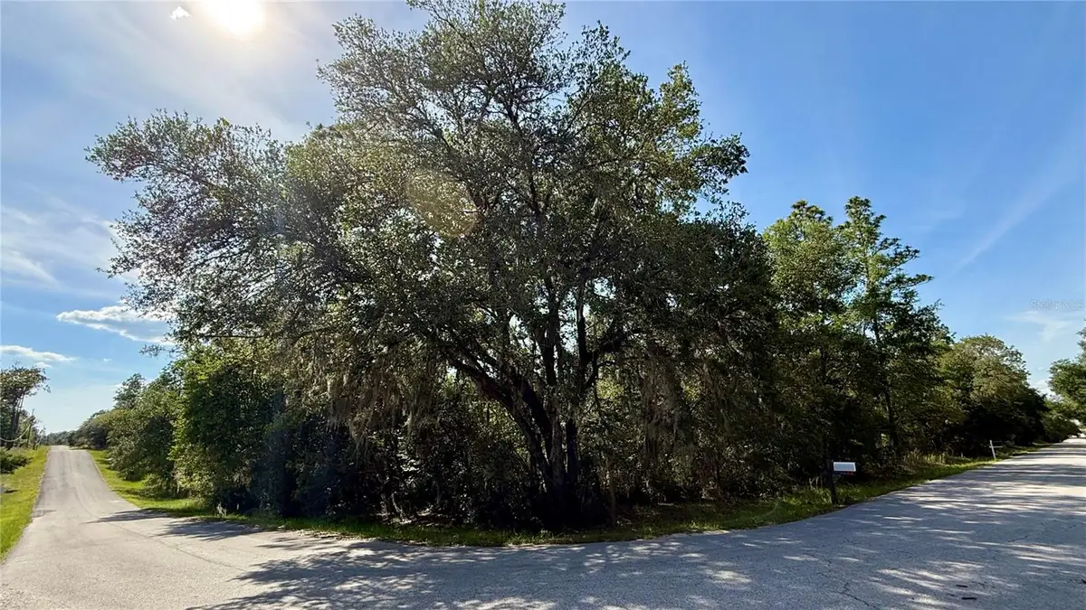 Undetermined, Dunnellon, FL 34431 - #1