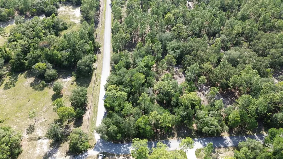 Undetermined, Dunnellon, FL 34431 - #3