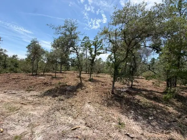 Fisher Way Track, OCKLAWAHA, FL 32179