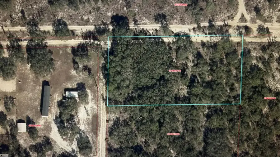 0000 Northeast 127th Court, Bronson, FL 32621 - #3