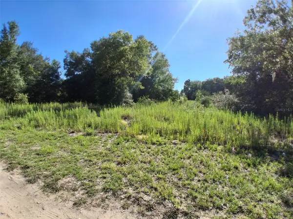 Tbd Sw 146th Avenue, OCALA, FL 34481