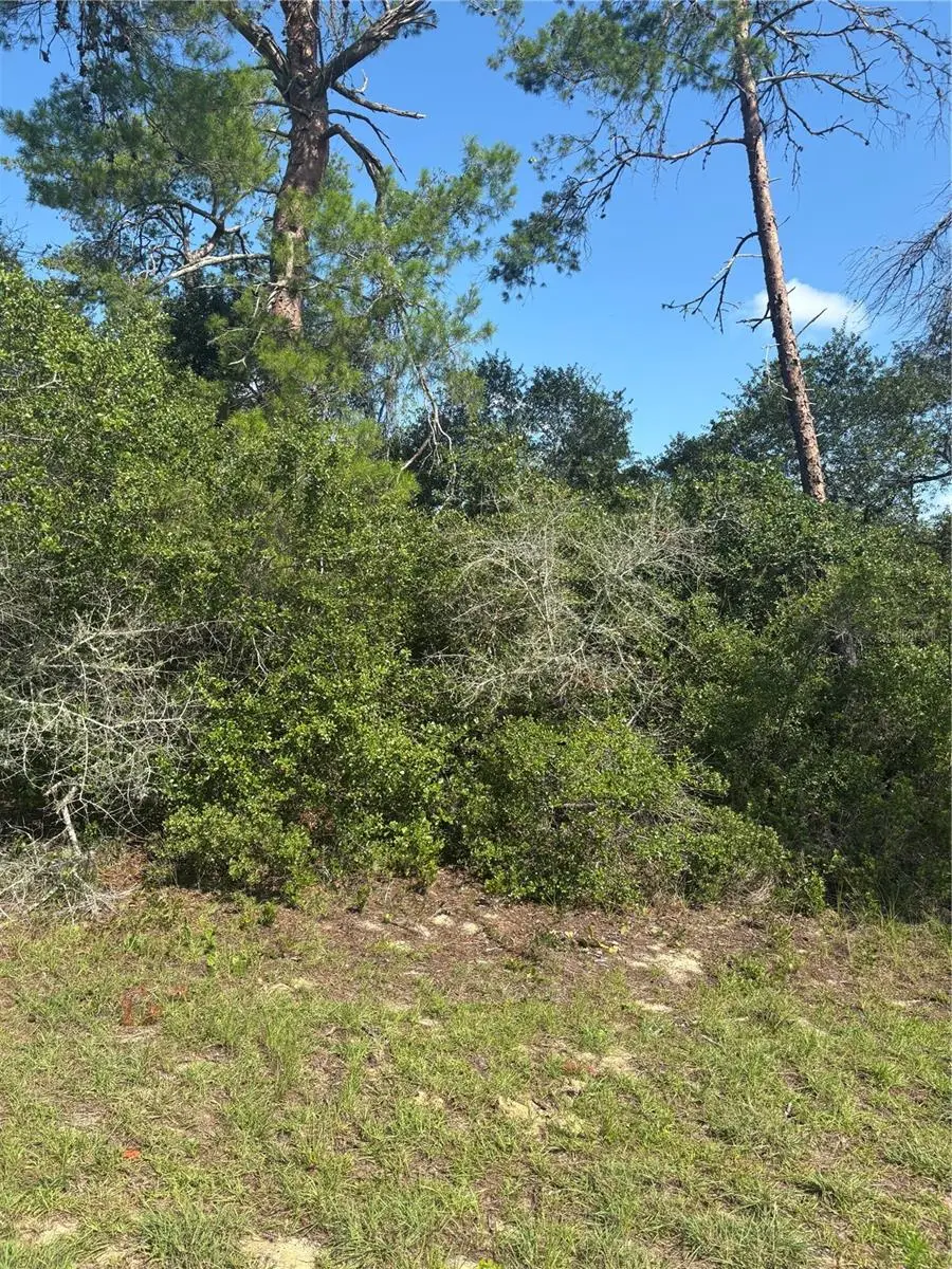 16698 SW 21st Circle, Ocala, FL 34473 - #1