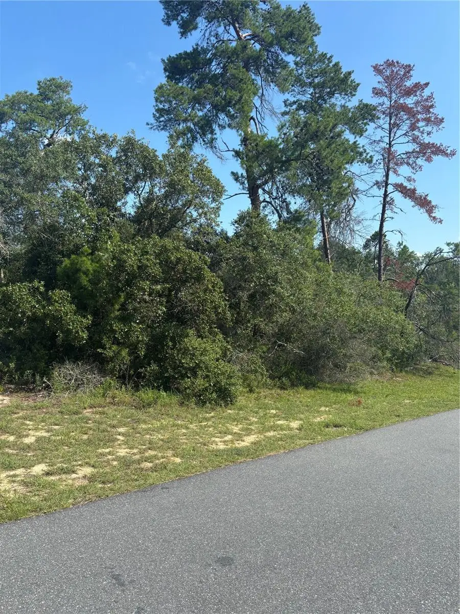 16698 SW 21st Circle, Ocala, FL 34473 - #2
