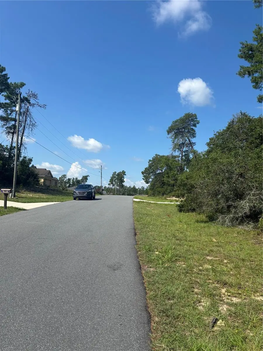 16698 SW 21st Circle, Ocala, FL 34473 - #3