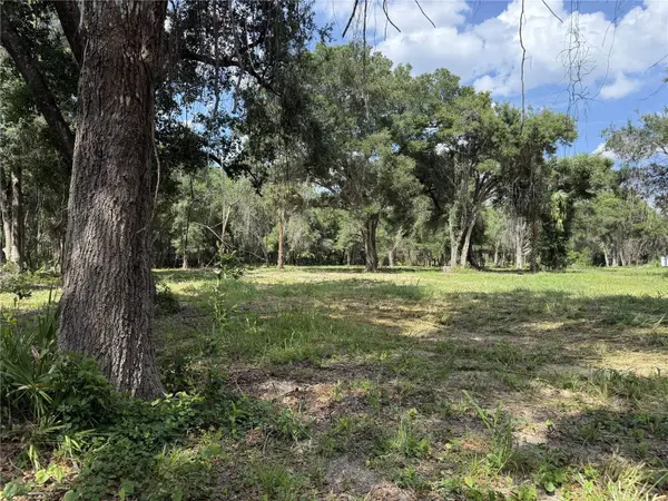 620 Cochran Road, GENEVA, FL 32732