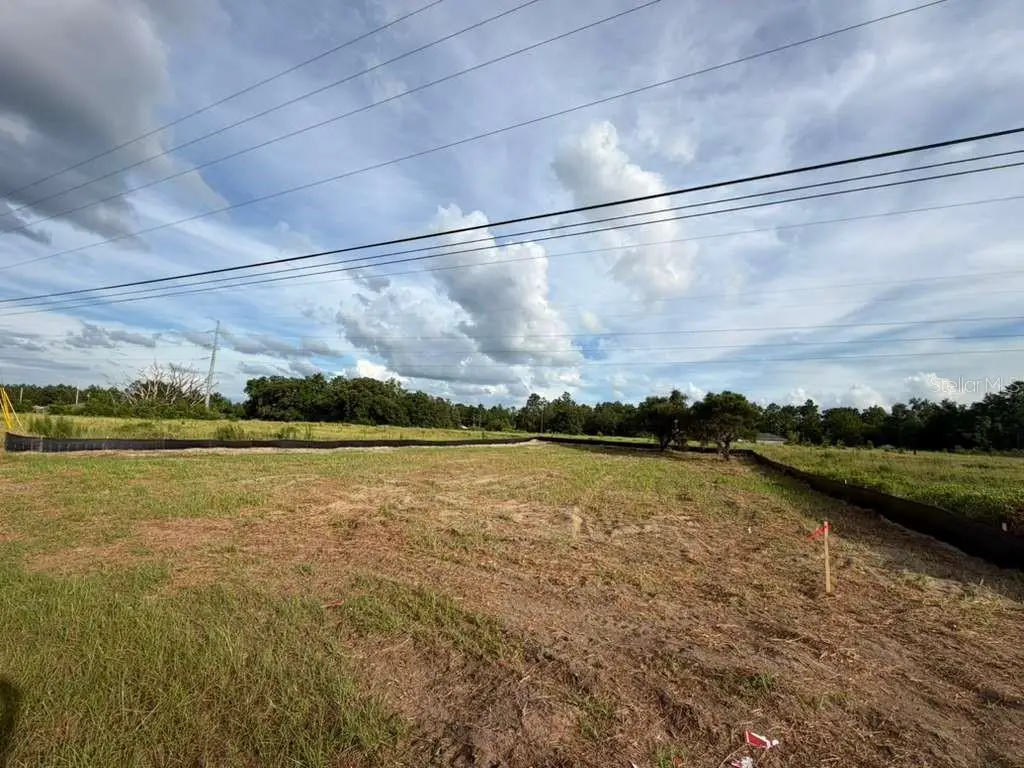 SE 113th Street Road, Ocklawaha, FL 32179 - #1