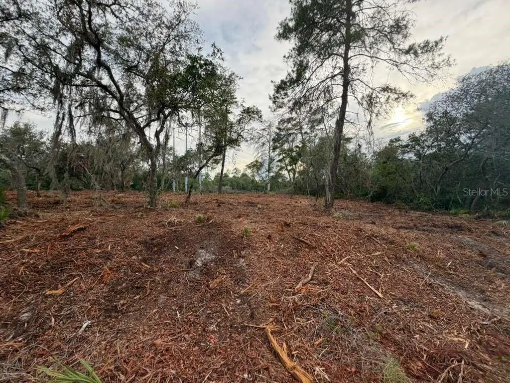 Sequoia Trail, Ocklawaha, FL 32179 - #1
