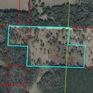 NE 172nd Court, WILLISTON, FL 32696
