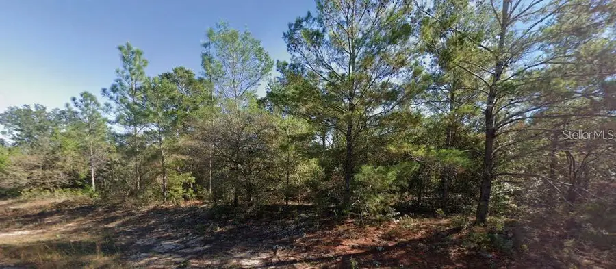 Colmart Drive, Chipley, FL 32428 - #2