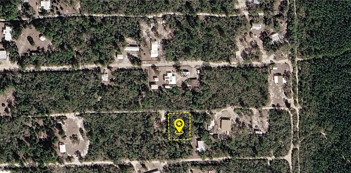 XX NE 234th Lane, Fort McCoy, FL 32134 - #1