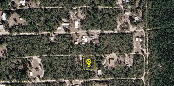 XX NE 234th Lane, FORT MC COY, FL 32134