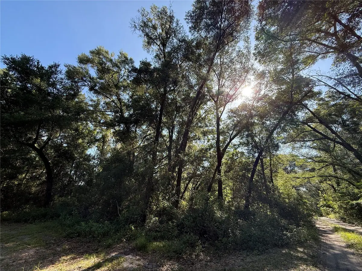 XX SE 35th Court, Summerfield, FL 34491 - #1