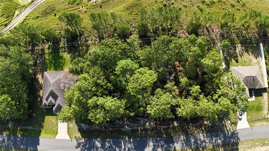 XX SW 61st Circle, Ocala, FL 34473 - #3
