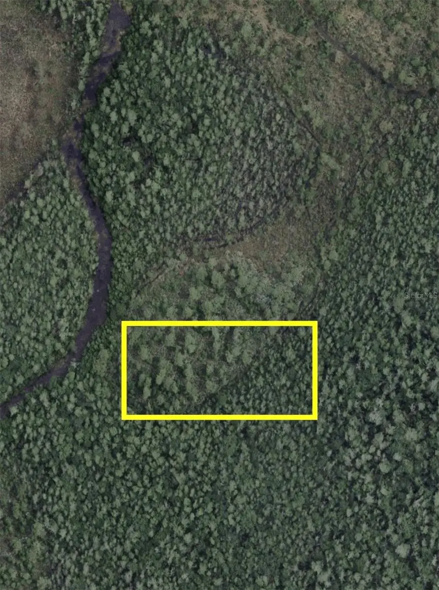 Dill Road, Orlando, FL 32820 - #1