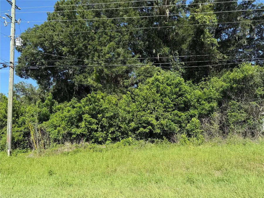 Bahia Court Track, Ocala, FL 34472 - #2