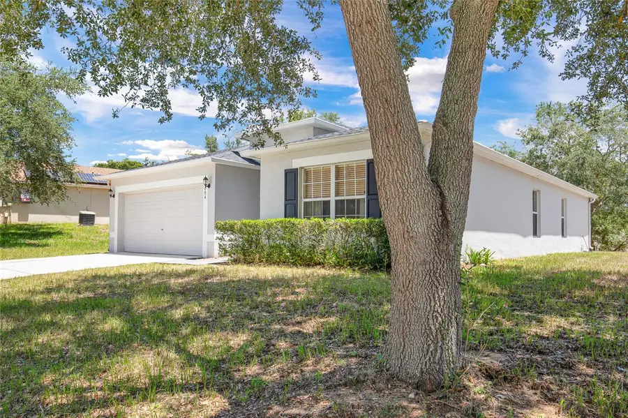 1004 White Bark Court, Minneola, FL 34715 - #2