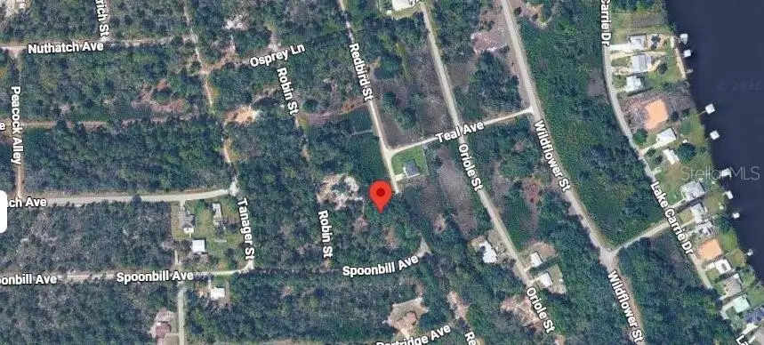 1030 Redbird Street, Lake Placid, FL 33852 - #2