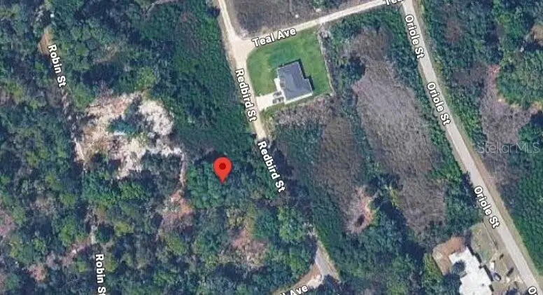 1030 Redbird Street, Lake Placid, FL 33852 - #3
