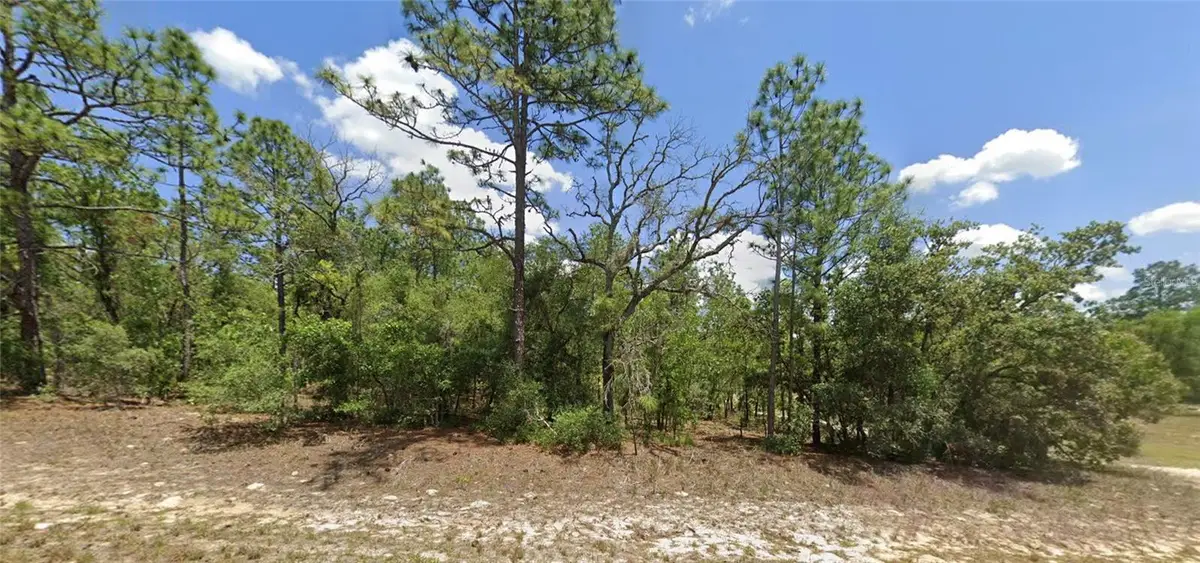 9857 N Lathyrus Terrace, Dunnellon, FL 34433 - #1