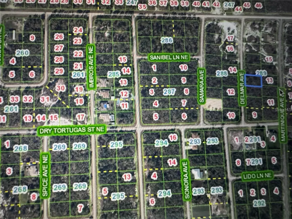 110 Delmar Avenue Ne, Lake Placid, FL 33852 - #1