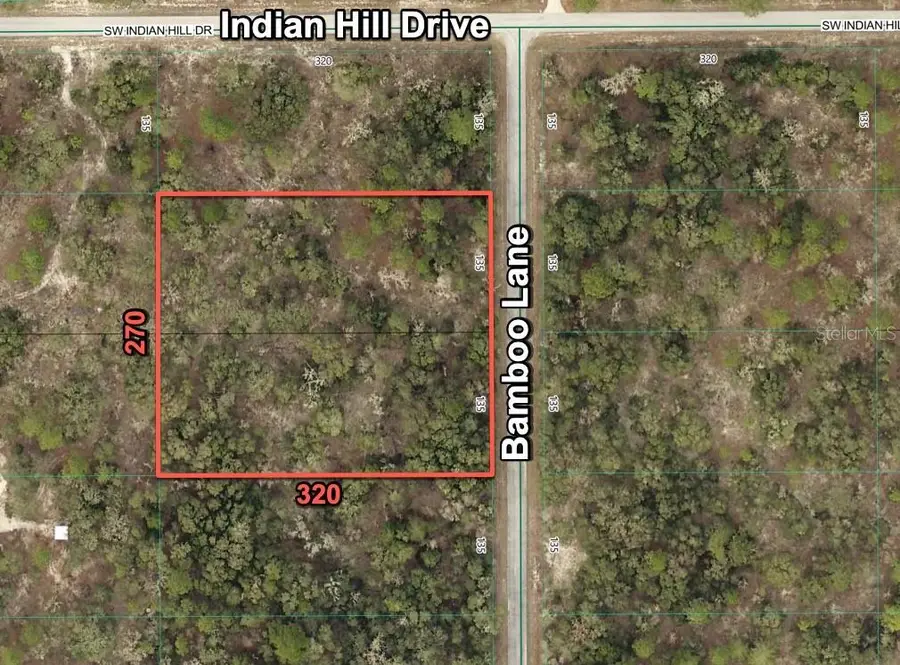 1056 Bamboo Lane, Dunnellon, FL 34431 - #2