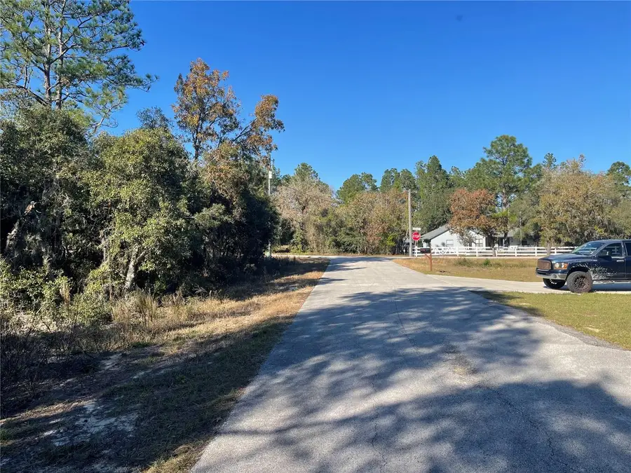 1056 Bamboo Lane, Dunnellon, FL 34431 - #3