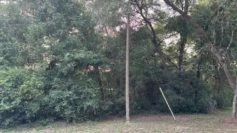 SE 11th Street, SILVER SPRINGS, FL 34488