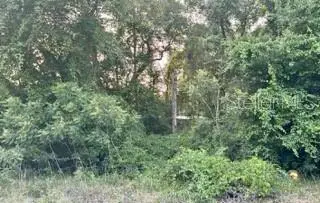 SE 11th Street, Silver Springs, FL 34488 - #2
