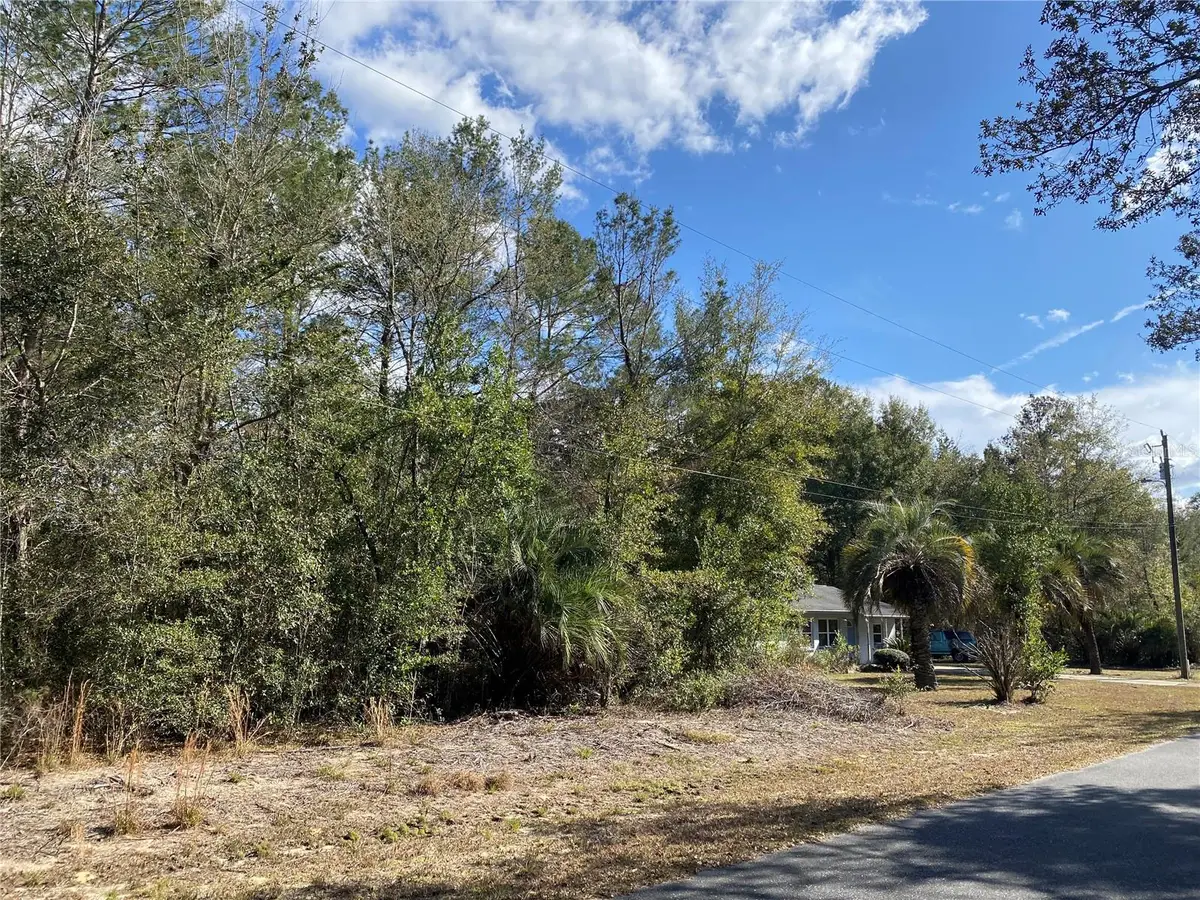 2085 SW Algiers Court, Dunnellon, FL 34431 - #1