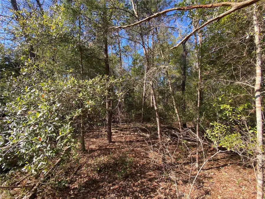 2085 SW Algiers Court, Dunnellon, FL 34431 - #2