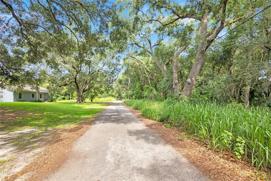 Avalon Road, Winter Garden, FL 34787 - #2