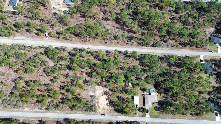 24491 NW Hemlock Avenue, Dunnellon, FL 34431 - #3