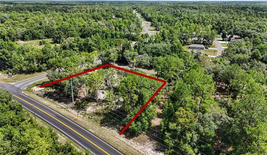 3 Bay Drive, Ocklawaha, FL 32179 - #2